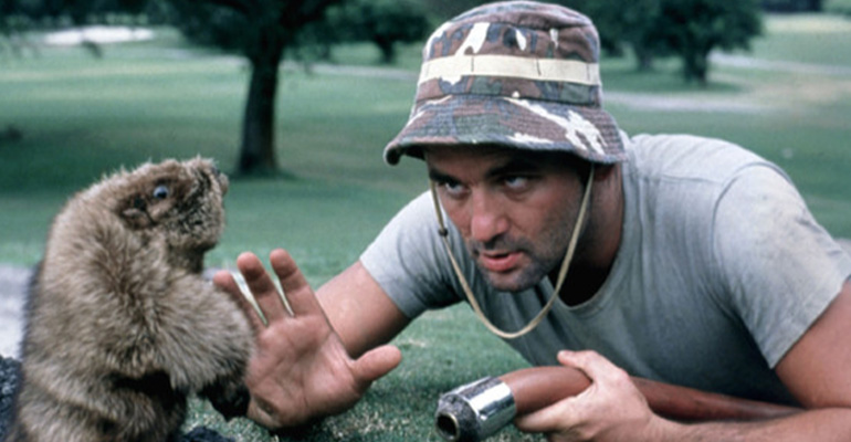 bill murray caddyshack