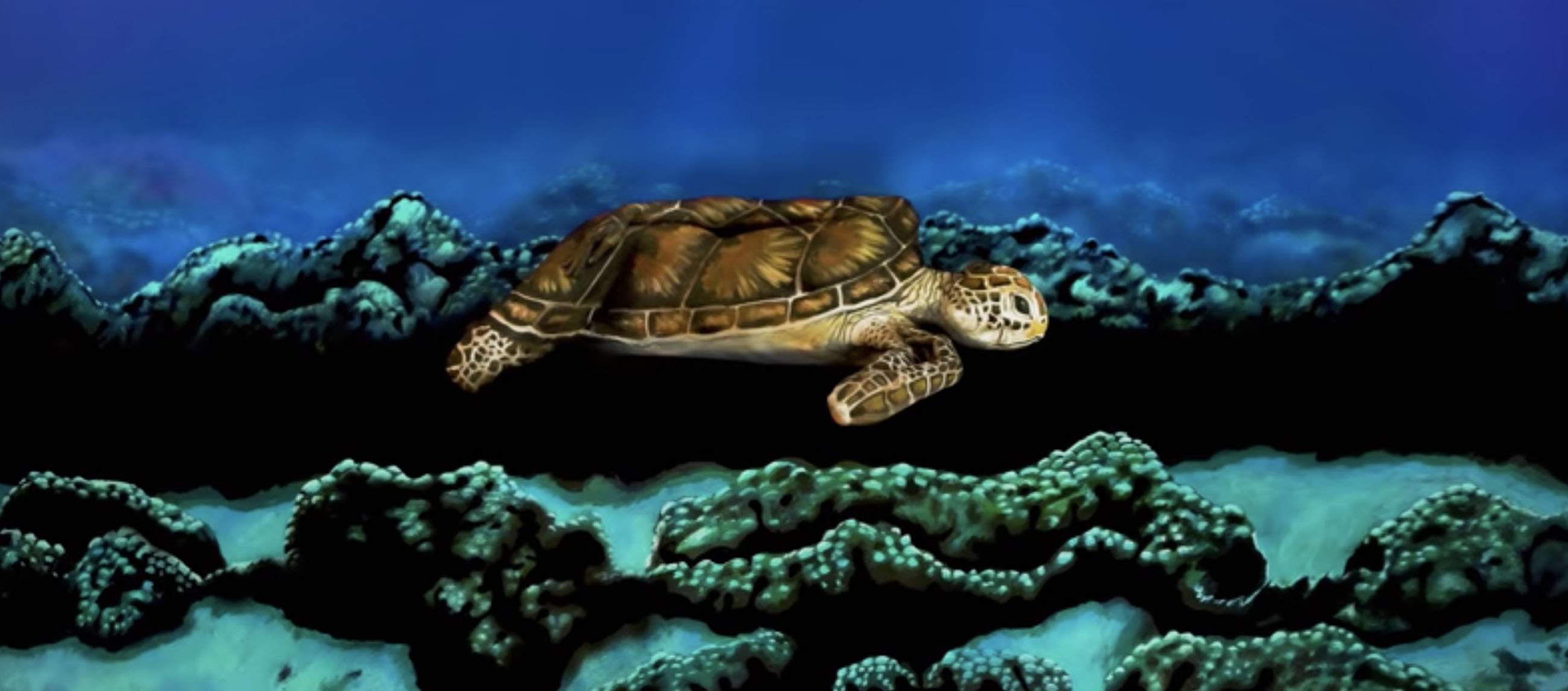 sea turtle model