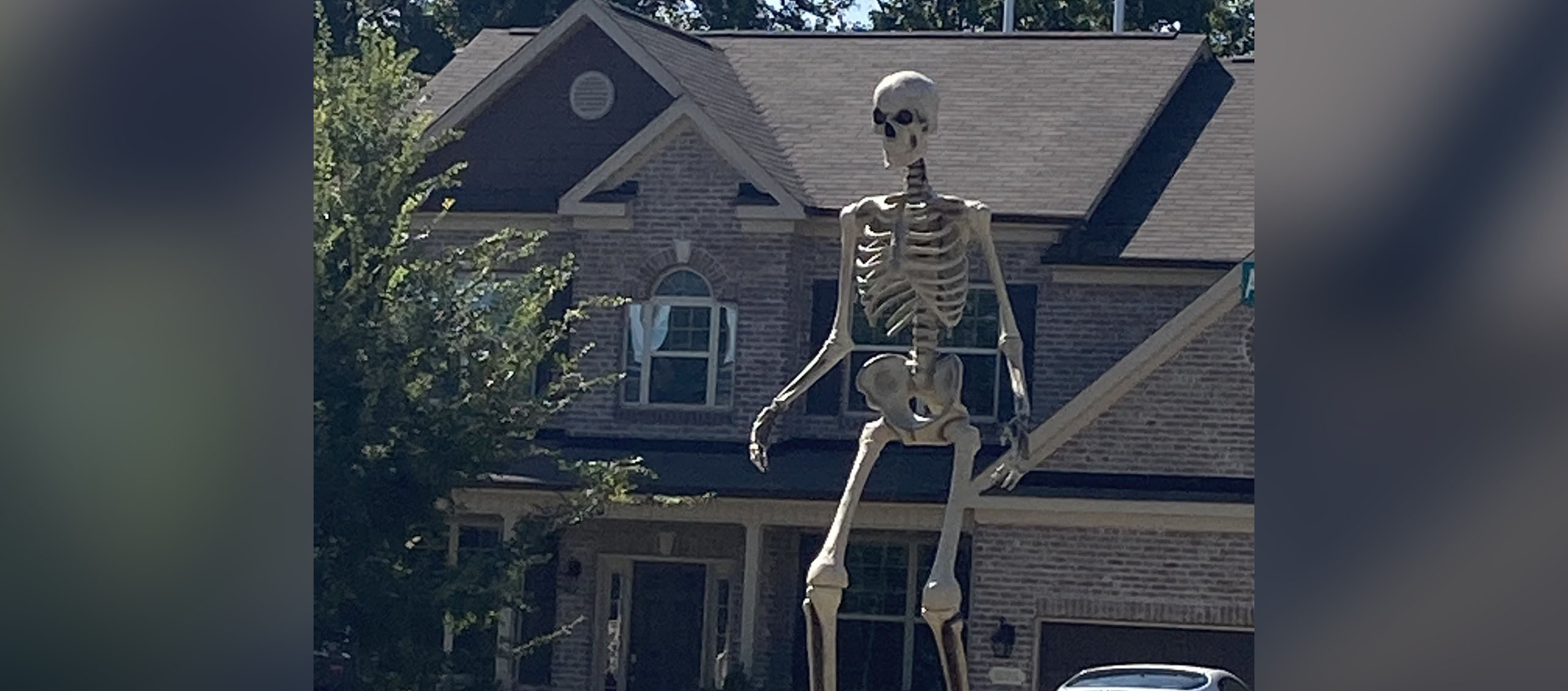 giant skeleton